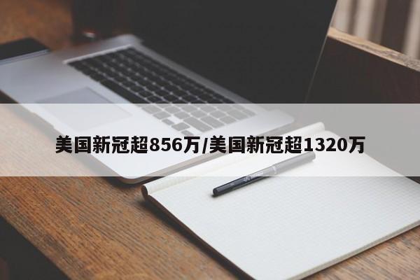 美国新冠超856万/美国新冠超1320万